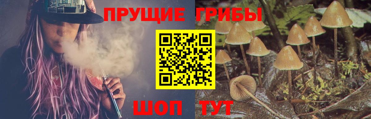 Галлюциногенные грибы прущие грибы  Псилоцибиновые грибы MAGIC MUSHROOMS  Вход с VPN  Жигулёвск 